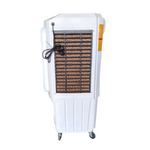 Load image into Gallery viewer, Atul Star Boy HP 18" Domestic Cooler | Room Series - 80 Ltr.