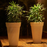 Load image into Gallery viewer, Atul Bloom 35" Planter