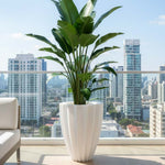 Load image into Gallery viewer, Flora Atul Gardenia Unbreakable Indoor &amp; Outdoor Planter 29"